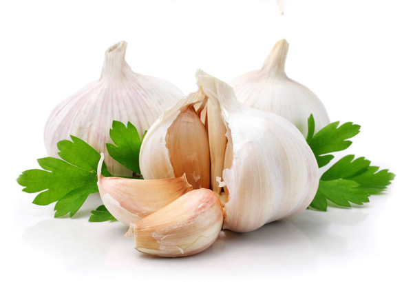 http://zdravnica.net/images/articles/health-nutririon/garlic.jpg