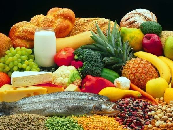 What Is The Importance Of Food In Our Daily Life