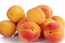 apricots