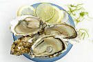 Устрицы