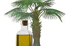 Пальмовое масло