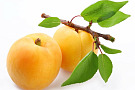 Абрикос