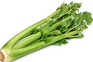 Сельдерей