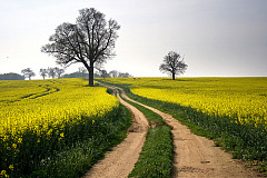 Проблема укачивания