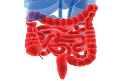 Энтероколит